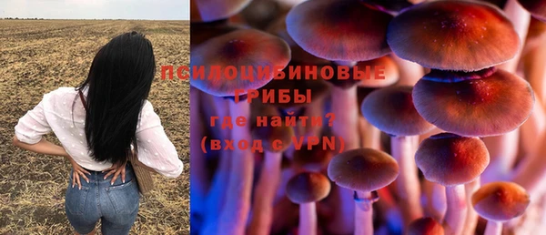 прущая мука Мегион