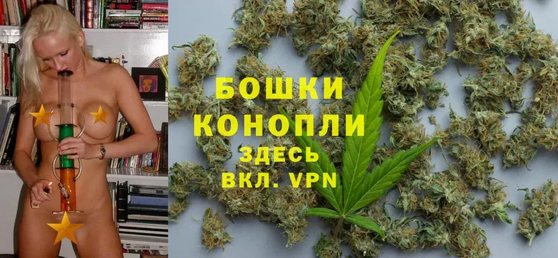 Каннабис Bruce Banner  как найти   Гаврилов Посад 